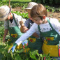 Mobile Preview: Kinder Gartenschürze "plantolino"